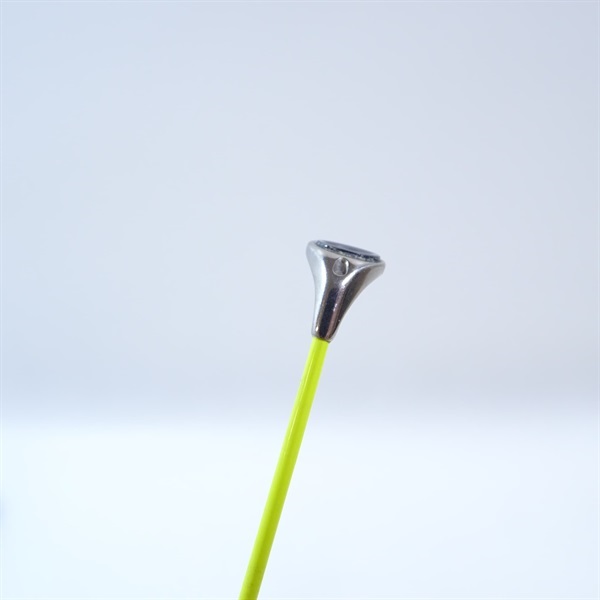 ２１アオリスタ５００